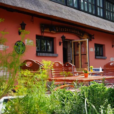 Pferdehof Bela Apartment Nonnevitz Exterior photo