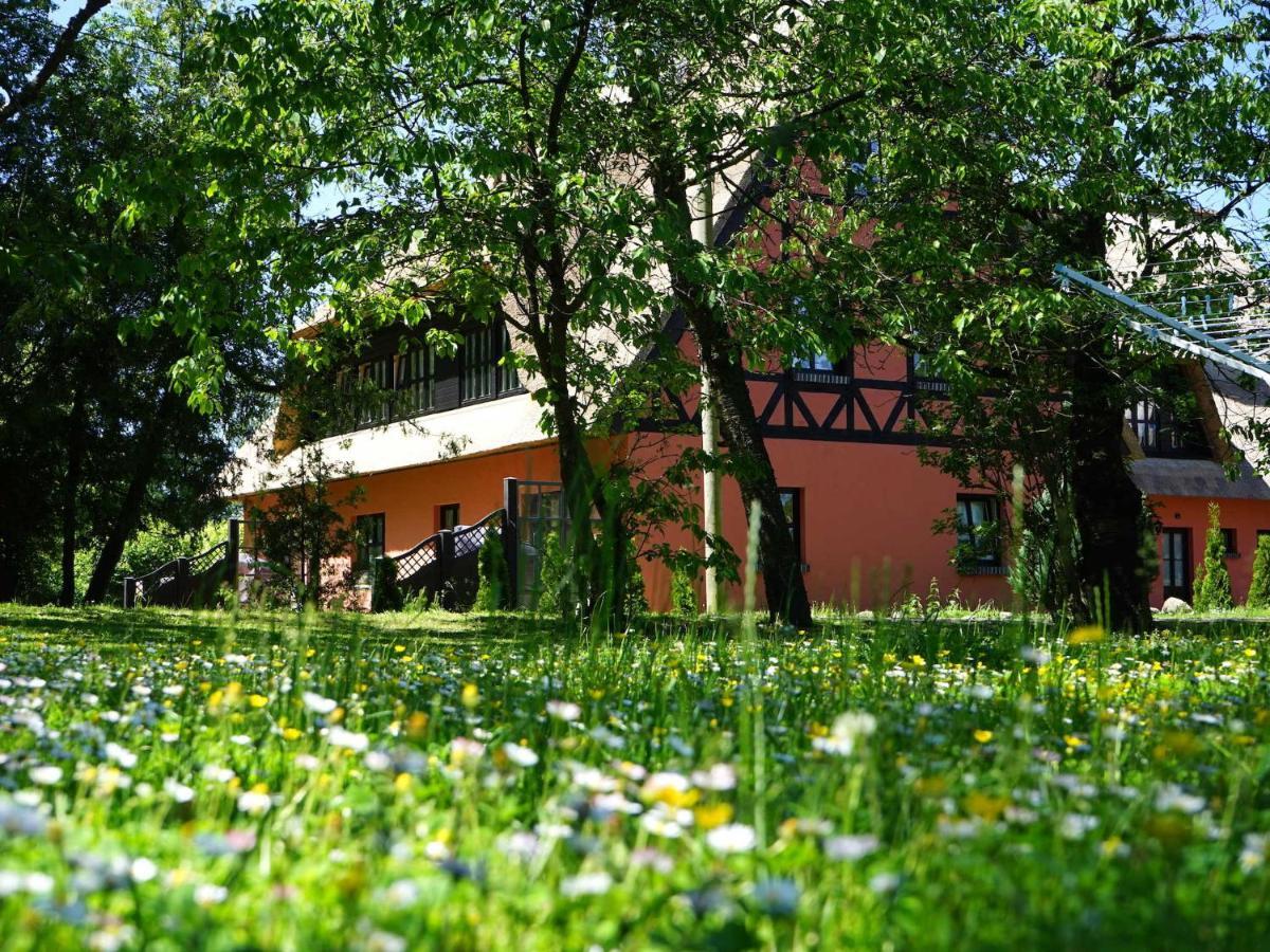 Pferdehof Bela Apartment Nonnevitz Exterior photo